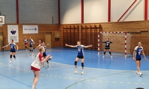 Damelaget hjemme mot Bergsøy 2 - 25. jan.