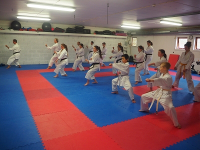 Karate Øvingshelg i Vestneshallen 21-23 april.